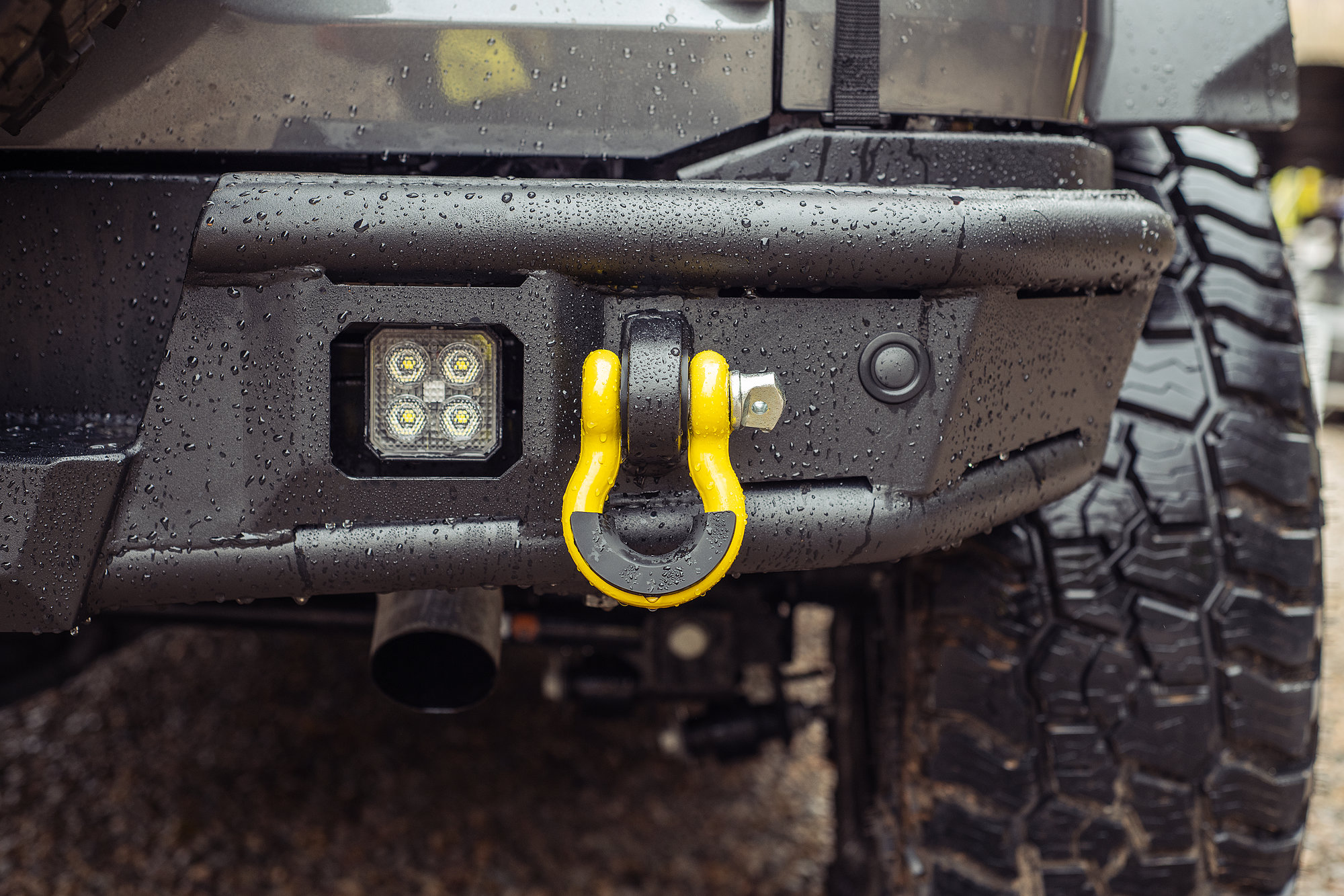 ボントレガー　car back Carnivore Rear Bumper for 21-26 Ford Bronco | Quadratec